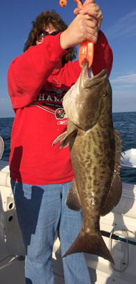 Angling Adventures Gag Grouper