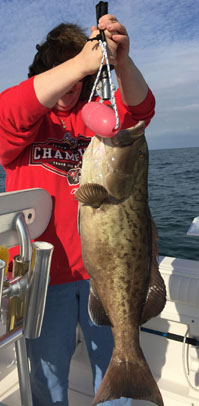 Angling Adventures Gag Grouper