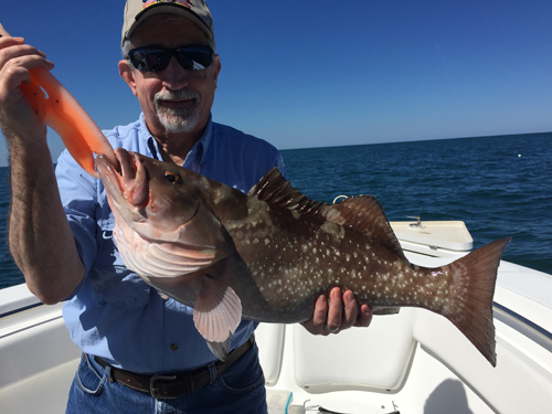 Angling Adventures Red Grouper