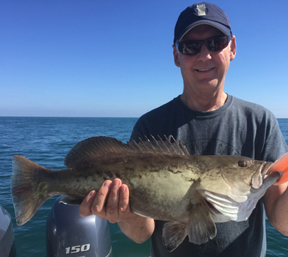 Angling Adventures Gag Grouper