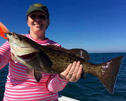 Angling Adventures Gag Grouper