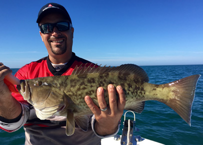 Angling Adventures Gag Grouper