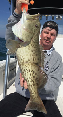 Angling Adventures Gag Grouper