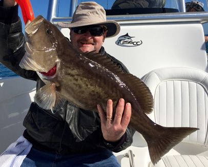 Angling Adventures Gag Grouper