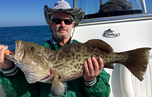 Angling Adventures Gag Grouper