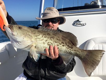 Angling Adventures Gag Grouper