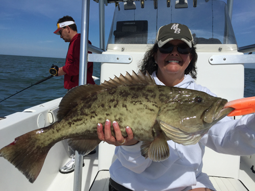 Angling Adventures Gag Grouper