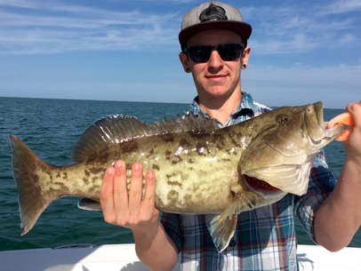 Angling Adventures Gag Grouper