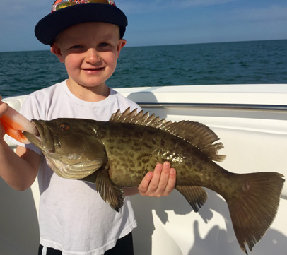 Angling Adventures Gag Grouper