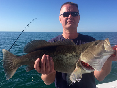 Angling Adventures Gag Grouper