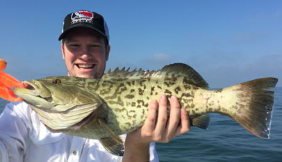 Angling Adventures Gag Grouper