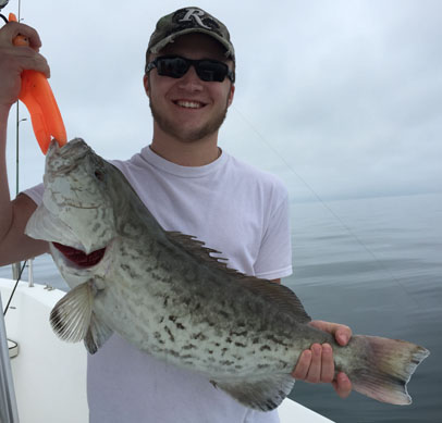 Angling Adventures Gag Grouper