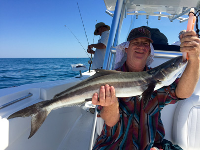 Angling Adventures Cobia