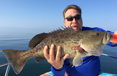 Angling Adventures Gag Grouper