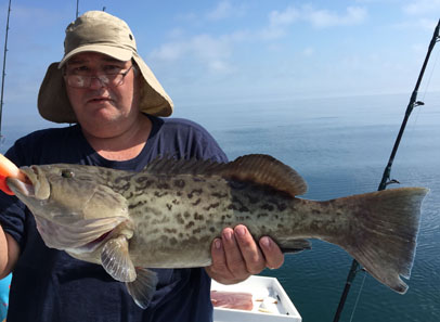 Angling Adventures Gag Grouper