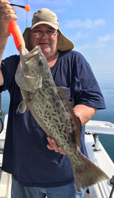 Angling Adventures Gag Grouper