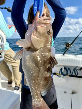 ANGLING ADVENTURES