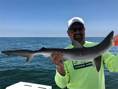 Angling Adventures Reef Shark