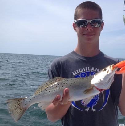 Spotted Sea Trout